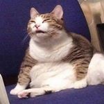 Profile Picture of Andrew Dorado (@xxthemoosexx) on Instagram