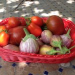 Profile Picture of Joe Becci (@caprijoe) on Instagram