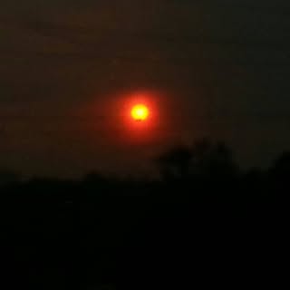 Profile Picture of Barry Bing (@bing.barry) on Instagram