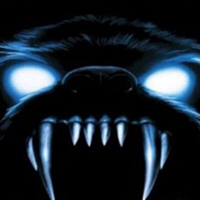 Profile Picture of LUCIAN ANDRE GS (@WOLF_ANDRE) on Twitter