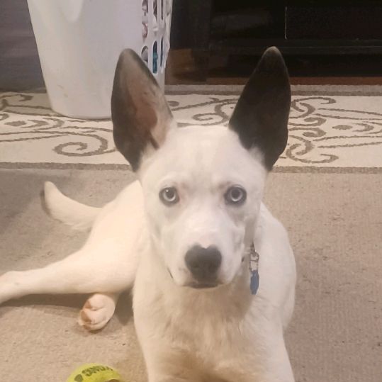 Profile Picture of connor haines (@socialrejectxddx) on Tiktok