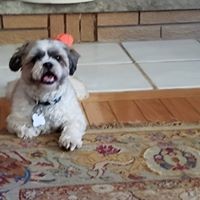 Profile Picture of Jess Farrell (@jess-farrell-11) on Quora