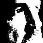 Profile Picture of Kevin Mcgloin (@mcgloin_kevin) on Instagram