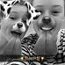 Profile Picture of Lynn Buttimore (@lynn.buttimore.96) on Facebook