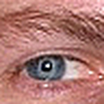 Profile Picture of Teddyturtle (@teddyturtle) on Flickr