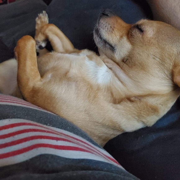 Profile Picture of Rose Bruttomesso (@roset_69) on Poshmark