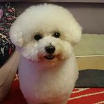Profile Picture of Lawrence Kwong (@lawrence.kwong.14) on Instagram