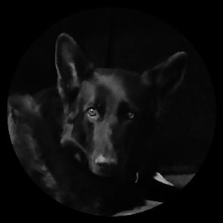Profile Picture of Scott Hiester (@scott.hiester.14) on Facebook