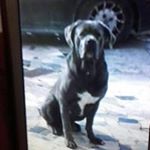 Profile Picture of Michele Modica (@modica2916) on Instagram