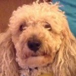 Profile Picture of Tony Milton (@mlbto) on Instagram