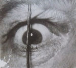 Profile Picture of Steven Coron (@steven_coron) on Flickr