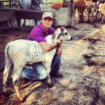 Profile Picture of Guillermo Quintero (@guillo_q) on Twitter