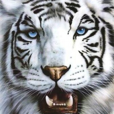 Profile Picture of John Cóndor (@anaidjef86) on Twitter