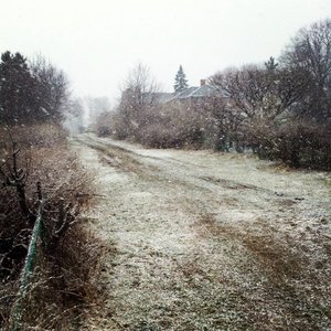 Profile Picture of Sam Bonney (@bonbon568) on Myspace