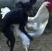 Profile Picture of Chikwapura Matinji (@chikwapura.matinji) on Facebook