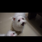 Profile Picture of Jack Hsu (@JyeHsu) on Youtube