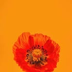 Profile Picture of Debra Bates (@Debra-Bates) on Facebook