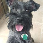 Profile Picture of Carlene Guidry McCall (@carlenemccall) on Instagram