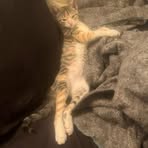 Profile Picture of Jay Crocker (@Jay-Crocker) on Facebook