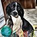 Profile Picture of Teresa Connors (@teresa.connors.12) on Facebook