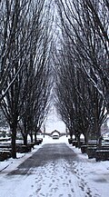 Profile Picture of Sorgenfri Cemeteryon Wikipedia
