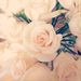 Profile Picture of Nora James Photography (@njphoto) on Pinterest