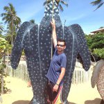 Profile Picture of David Schmierer (@dschmierer) on Instagram