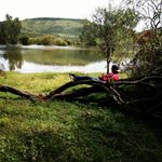 Profile Picture of Daniel Guevara (@_daniel_guevara_) on Instagram