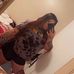 Profile Picture of Briana Enchautegui (@briana.enchautegui.9) on Facebook