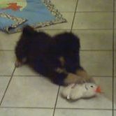 Profile Picture of Joyce Lafleur (@joycelafleur3) on Pinterest