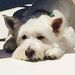 Profile Picture of Paula Mattis (@p_mattis) on Pinterest