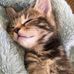 Profile Picture of Jean Coburn (@jean.coburn.56) on Facebook