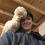 Profile Picture of Andrew Nordhagen (@andrew.nordhagen) on Instagram