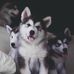 Profile Picture of Melvin Kyle (@melvin.kyle.98096) on Facebook