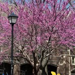 Profile Picture of Shelly Talbot (@Shelly-Talbot) on Facebook