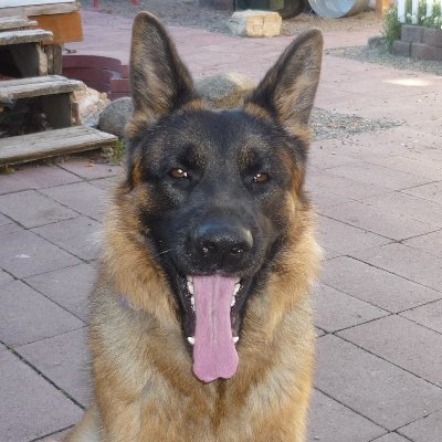Profile Picture of Jeff McCafferty (@mccafferty_jeff) on Twitter
