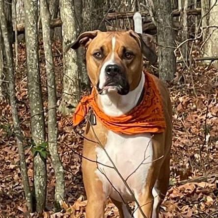 Profile Picture of Anne Simpson (@annesimpson01) on Tiktok