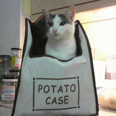 Profile Picture of Anne Mundy (@annemundy24) on Twitter