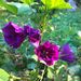 Profile Picture of Adalbert Britzmann (@adalbertbritzmann) on Pinterest