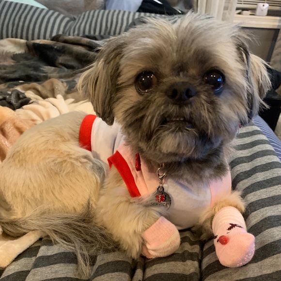 Profile Picture of Brandon Toledo (@btakeover) on Poshmark