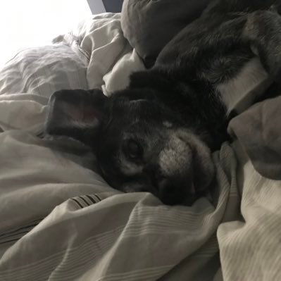 Profile Picture of Nancy Barber (@nancyba72040884) on Twitter