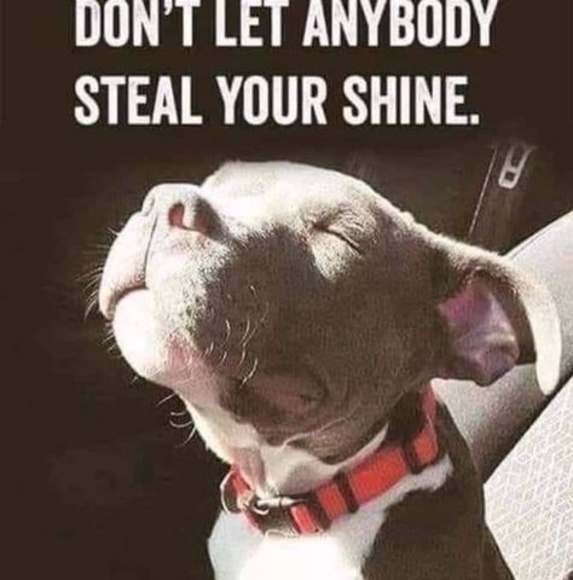 Profile Picture of Christopher Cardenas (@crcardenas1978) on Poshmark