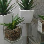 Profile Picture of maria das graças  alves correa (@adriana.tovasconcellos) on Instagram