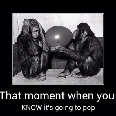 Profile Picture of Nate Kinsella (@KinsellaNate) on Twitter