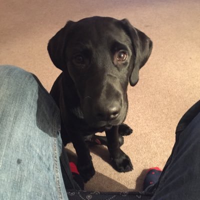 Profile Picture of Peter Faulkner (@PfPeterfaulkner) on Twitter