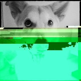 Profile Picture of dub__b__u (@dubbu) on Pinterest