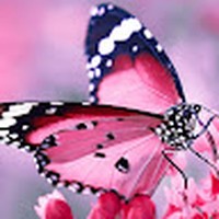 Profile Picture of Tong Yao (@tong-yao-39) on Quora