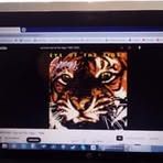 Profile Picture of Mike Oleary (@Mike-Oleary) on Facebook
