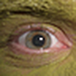 Profile Picture of Richard Cissell (@smashinghouses) on Flickr