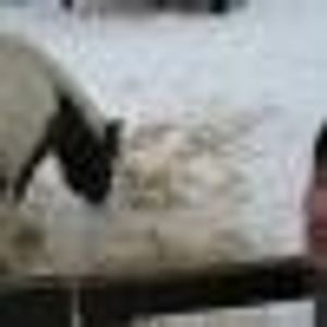 Kei Nakamura - Myspace Profile Picture of Kei Nakamura (@366986780) on Myspace